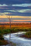 Jock River At Sunrise_08202